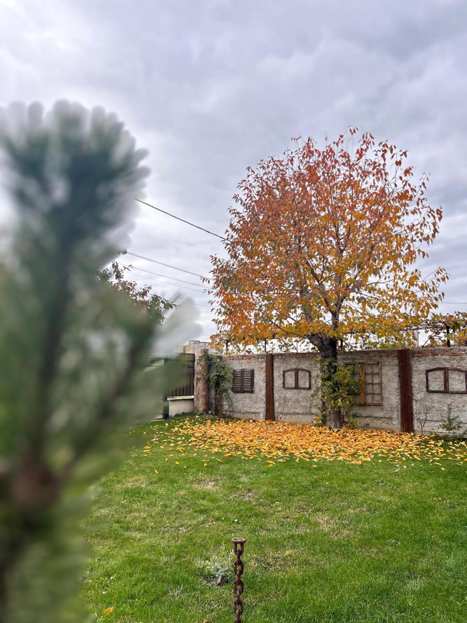 Rîşnov Like Home מראה חיצוני תמונה